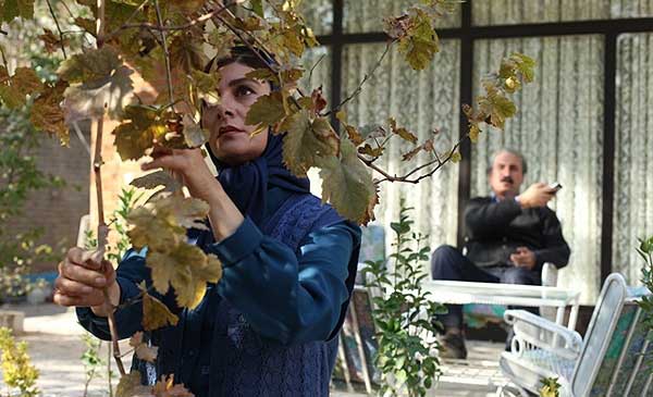 شروع عالی گیشه فیلم «زندگی مشترک آقای محمودی و بانو» + عکس 4 نمایی از فیلم زندگی مشترک آقای محمودی و بانو