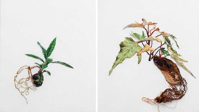 خلاقیتی دیدنی و جالب در هنر گلدوزی خارج از قاب