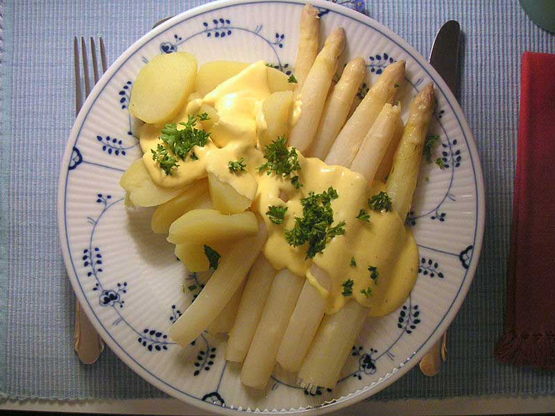 خواص و فایده های درمانی گیاه مارچوبه + عکس 3 خواص درمانی مارچوبه