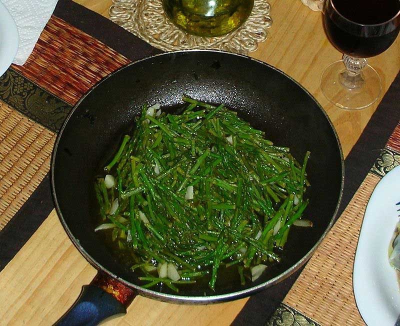 خواص و فایده های درمانی گیاه مارچوبه + عکس 9 خواص درمانی مارچوبه