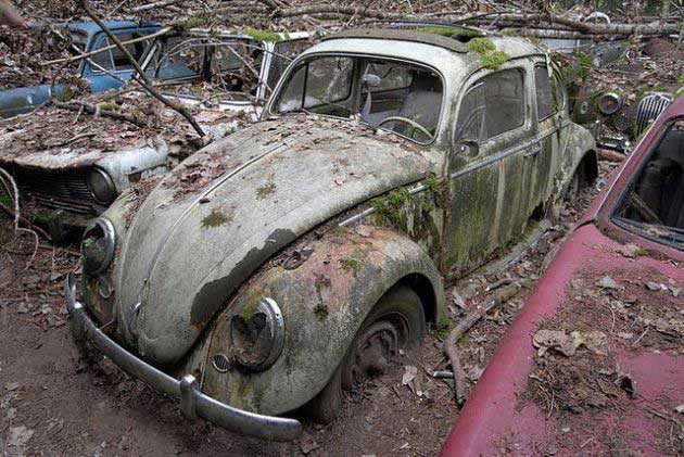 قبرستان خودروهای در جنگل های بلژیک