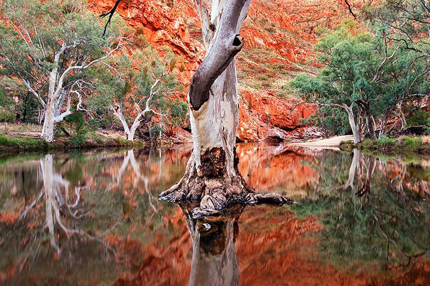 طبيعت زيبا و دست نخورده ي كشور استراليا