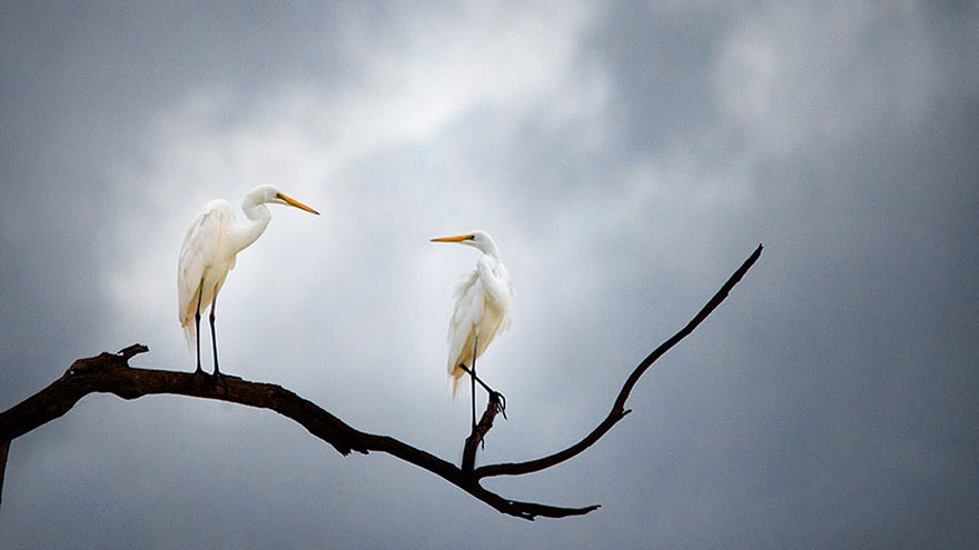 طبيعت زيبا و دست نخورده ي كشور استراليا