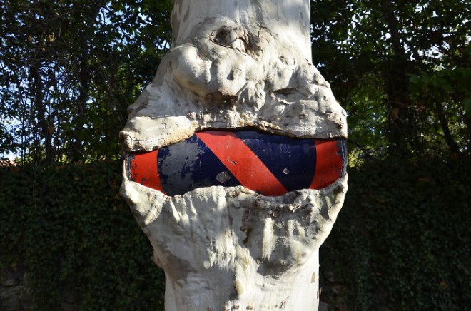 رشد و نمو جالب گل ها و گیاهان لطیف در دل مصالح سخت و خشن