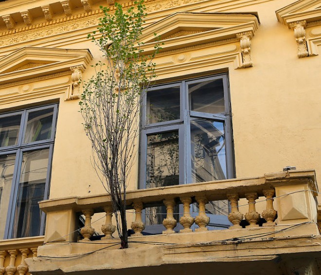 رشد و نمو جالب گل ها و گیاهان لطیف در دل مصالح سخت و خشن