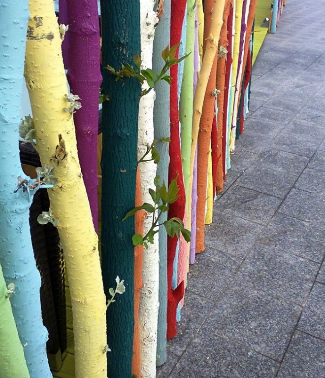 رشد و نمو جالب گل ها و گیاهان لطیف در دل مصالح سخت و خشن