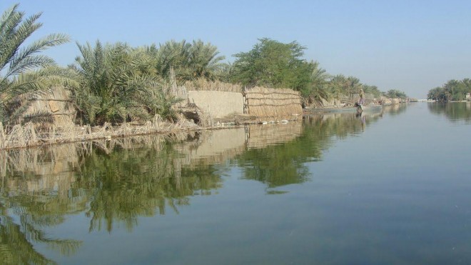 سفری به طبیعت زیبای تالاب شادگان «ونیز دیدنی ایران» + عکس 5 تالاب شادگان