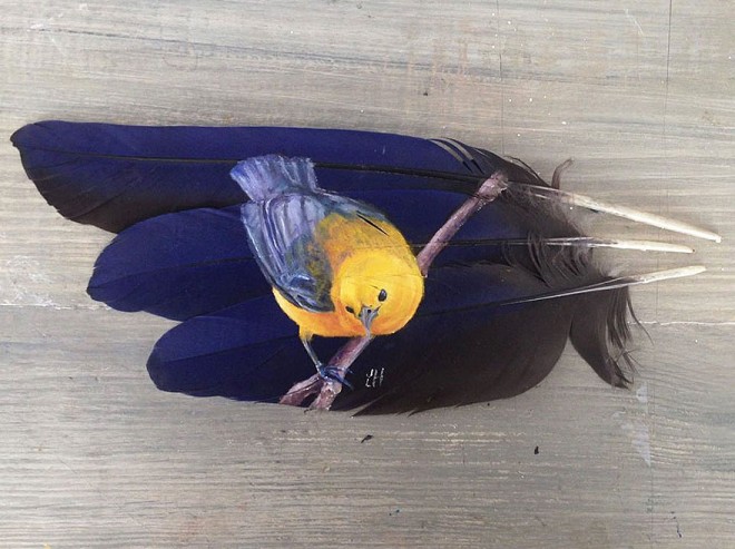 نقاشی خلاقانه بر روی پر پرندگان