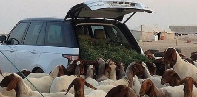 تبدیل خودرو«رنجرور»نیم میلیاردی به آغل گوسفند+عکس 4 تبدیل خودرو«رنجرور»نیم میلیاردی به آغل گوسفند