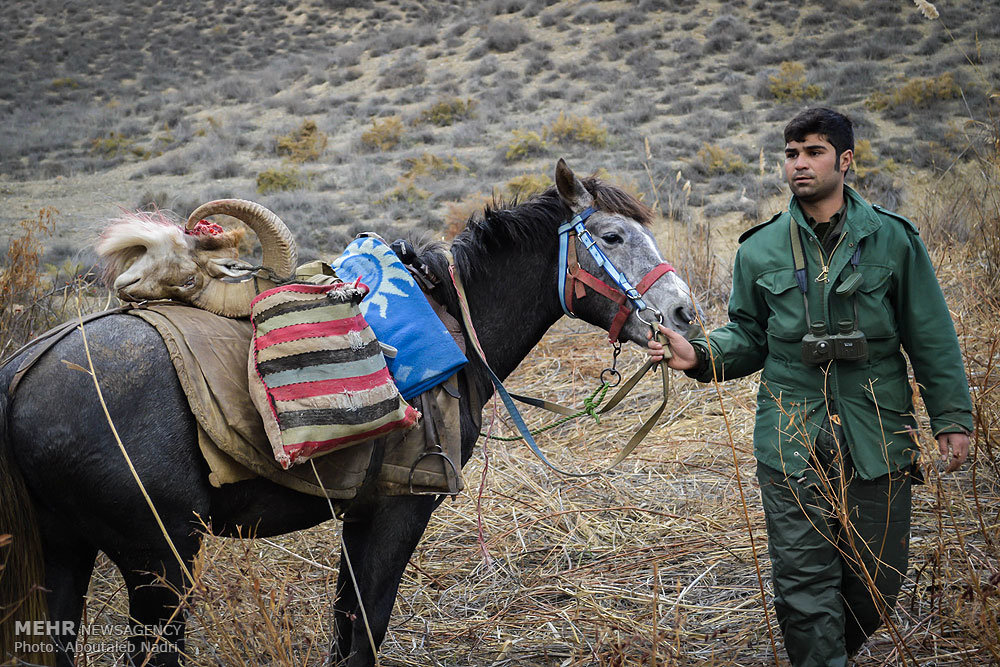  دستگیری شکارچیان غیر مجاز پارک ملی گلستان