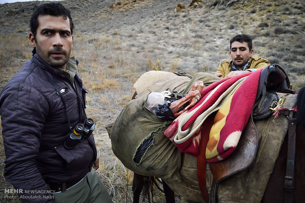  دستگیری شکارچیان غیر مجاز پارک ملی گلستان