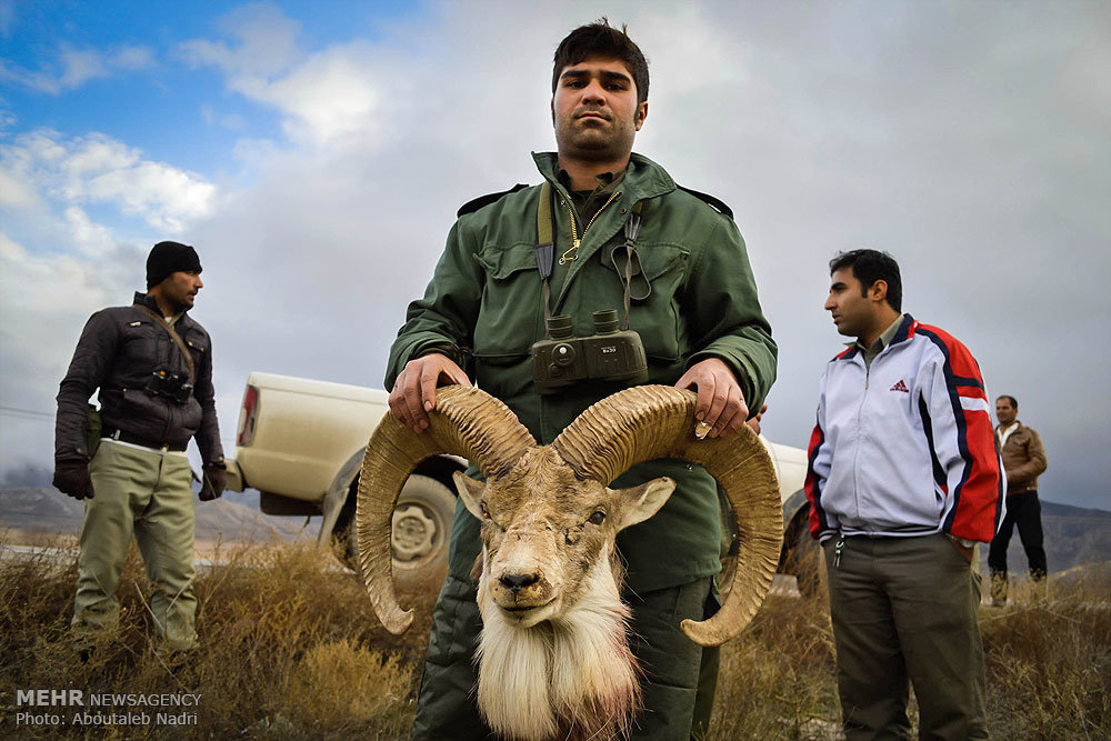  دستگیری شکارچیان غیر مجاز پارک ملی گلستان