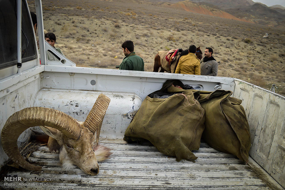  دستگیری شکارچیان غیر مجاز پارک ملی گلستان