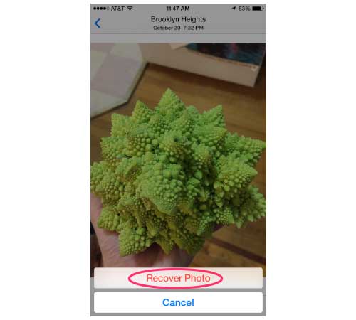 روش بازگرداندن عکسهای حذف شده در گوشی های iphone + عکس 6 بازیابی عکس از گوشی آیفون