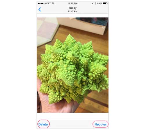 روش بازگرداندن عکسهای حذف شده در گوشی های iphone + عکس 5 بازیابی عکس از گوشی آیفون