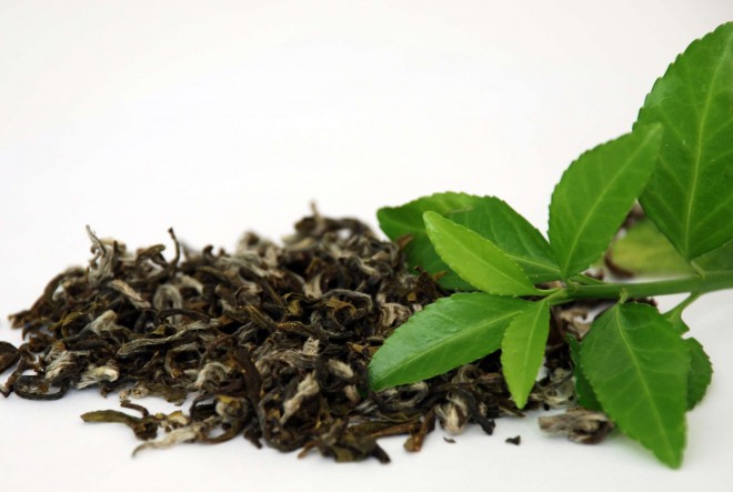 چهار آنتی بیوتیک طبیعی که در دسترس شماست + عکس 5 خواص درمانی چای سبز