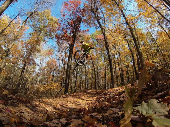 برایان لوپز و ترکیب رنگ ها