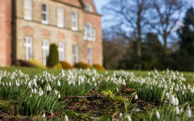 باز کن پنجره ها را ای دوست،بهار پشت دروازه شهر است + عکس 35 14572_2