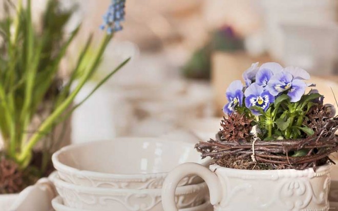 باز کن پنجره ها را ای دوست،بهار پشت دروازه شهر است + عکس 27 15365_m