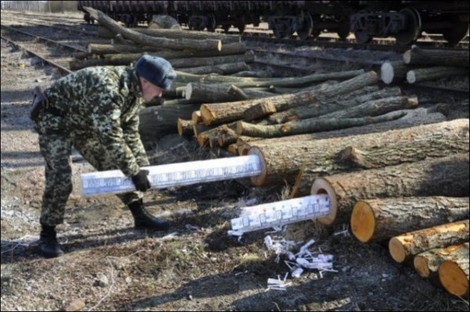 قاچاق سیگار توسط روسی ها به روشی جالب و خلاقانه + عکس 6 i_smuggled_good_in_da_logs_wtf_005_54f81d4f70946