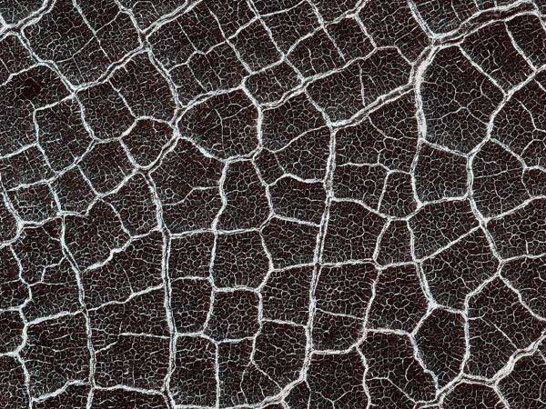 these-honeycomb-shaped-feat