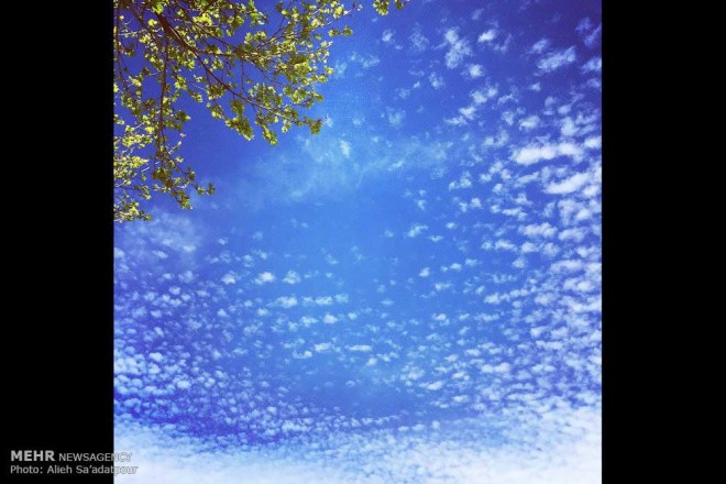 نکاتی آموزشی برای عکاسی با دوربین های تلفن همراه + عکس 10 2 (11)