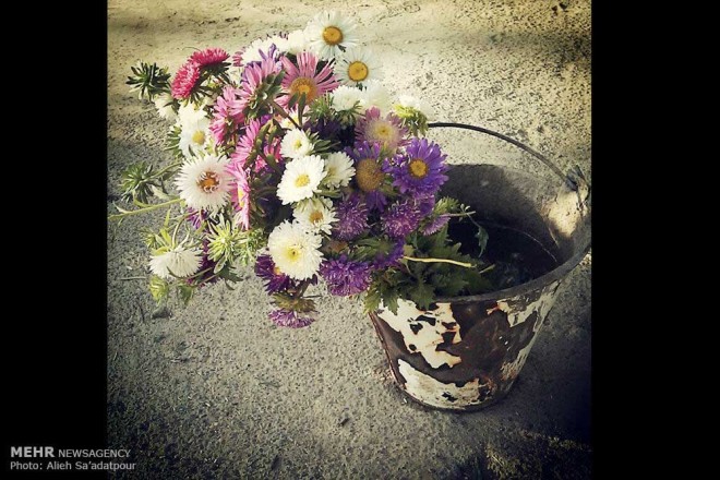 نکاتی آموزشی برای عکاسی با دوربین های تلفن همراه + عکس 14 2 (15)