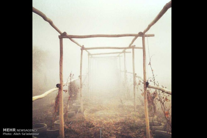 نکاتی آموزشی برای عکاسی با دوربین های تلفن همراه + عکس 16 2 (17)