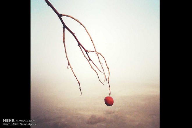 نکاتی آموزشی برای عکاسی با دوربین های تلفن همراه + عکس 17 2 (18)