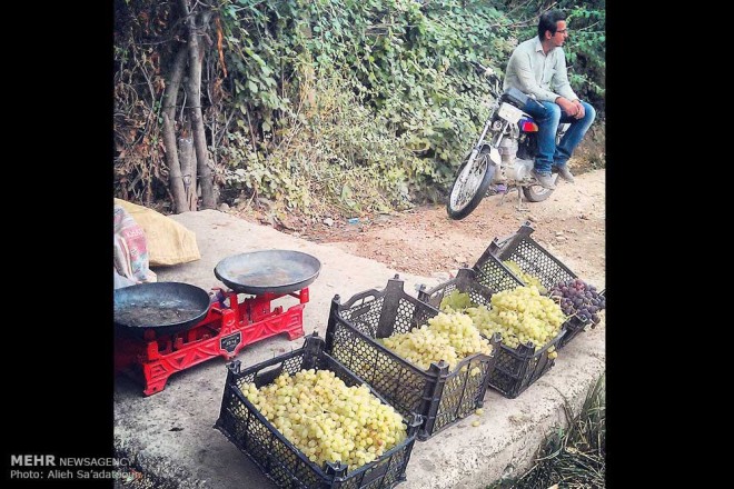 نکاتی آموزشی برای عکاسی با دوربین های تلفن همراه + عکس 20 2 (21)