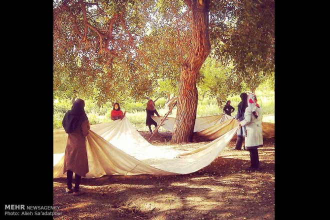 نکاتی آموزشی برای عکاسی با دوربین های تلفن همراه + عکس 34 2 (35)