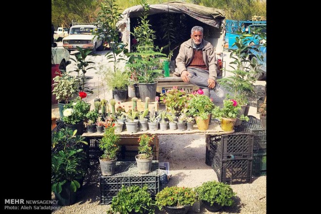 نکاتی آموزشی برای عکاسی با دوربین های تلفن همراه + عکس 5 2 (6)