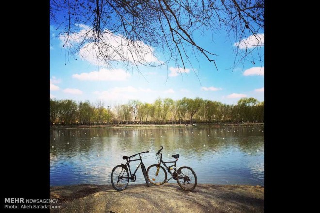 نکاتی آموزشی برای عکاسی با دوربین های تلفن همراه + عکس 7 2 (8)