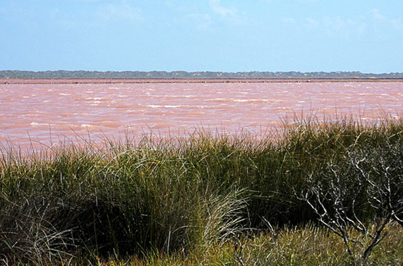 سفری به ۱۰ مکان بکر توریستی و دیدنی دنیا + عکس 8 استرالیا، Hutt Lagoon