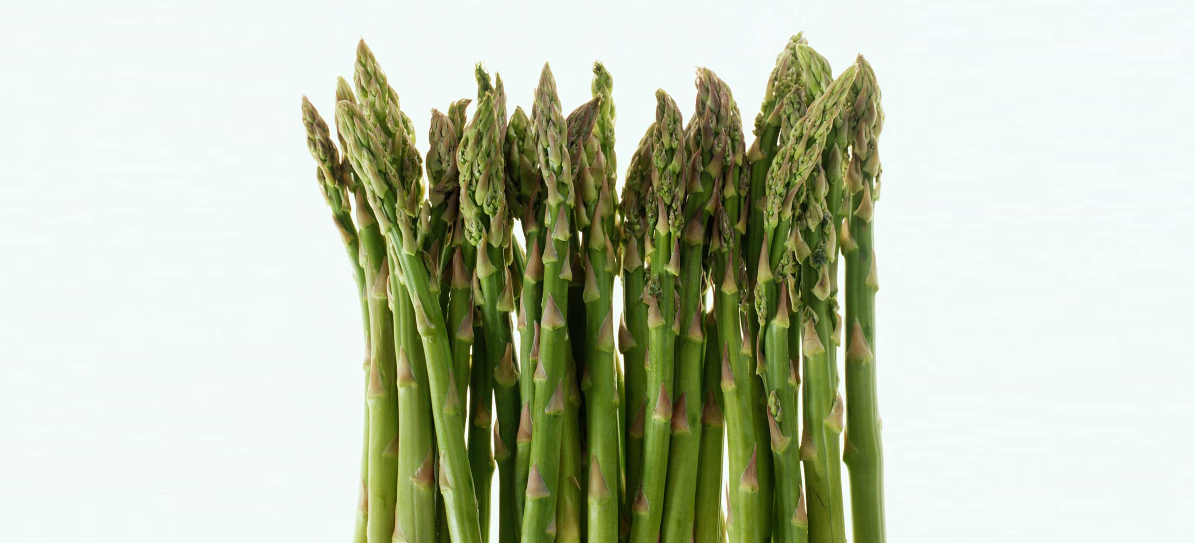 آب کردن چربی های شکم