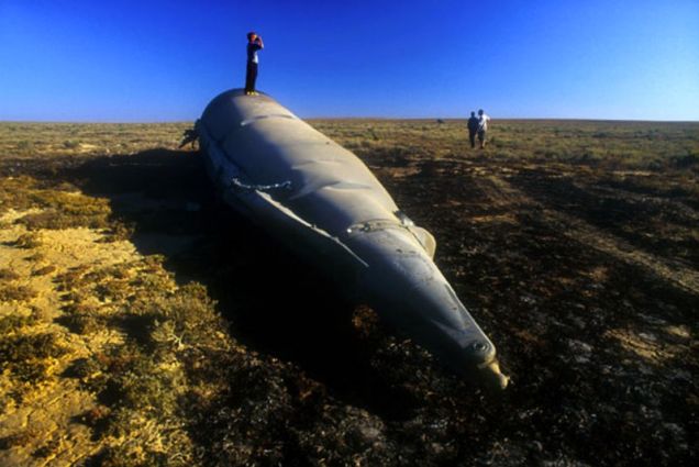 زبالههای فضایی چالش بزرگ ساکنین ایستگاه فضایی + عکس 3 زباله های فضایی (۳)