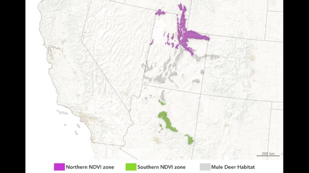نگاهی به پروژه ردیابی تولد بچه آهوها از فضا توسط ناسا ؟ 2 ردیابی تولد آهوها از فضا توسط ناسا
