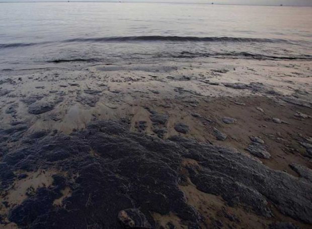 مسافران عجیبی که به ساحل اقیانوس ها رسیده اند