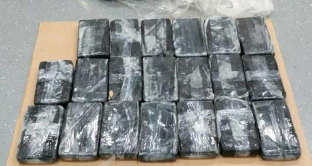 مسافران عجیبی که به ساحل اقیانوس ها رسیده اند