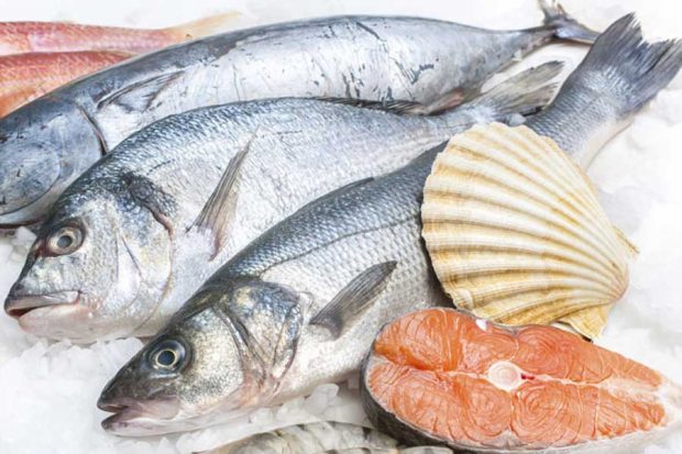 خوراکی هایی که حافظه انسان را ضعیف می کند ! 5 خوراکی هایی که حافظه انسان را ضعیف می کند