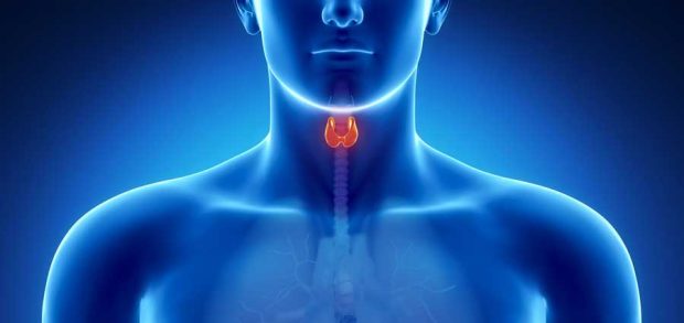 نکاتی مهمی که باید درباره کم کاری و پرکاری غده تیروئید بدانیم ؟ 2 کم کاری و پرکاری غده تیروئید