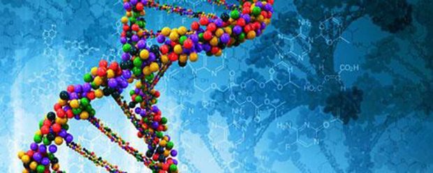 منشأ حیات تنها RNA نیست !