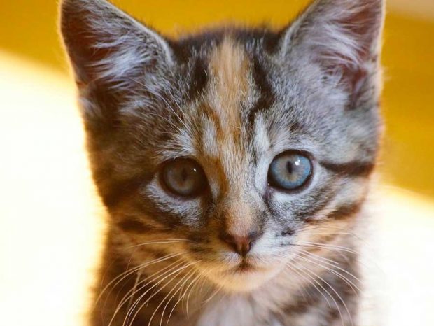 راهکارهایی عملی برای بیدار ماندن