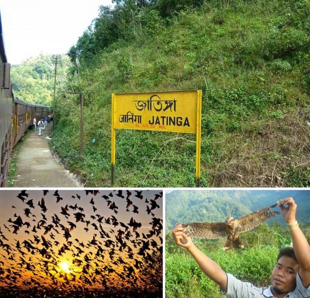 ۱۳مورد از معماهای عجیب مناظر طبیعی که هنوز حل نشده هستند ! 2 معماهای عجیب مناظر طبیعی