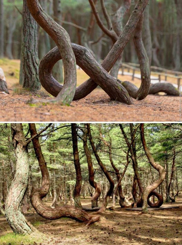 ۱۳مورد از معماهای عجیب مناظر طبیعی که هنوز حل نشده هستند ! 4 معماهای عجیب مناظر طبیعی