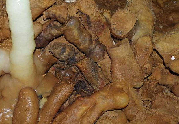 مهم ترین اکتشافات باستان‌ شناسی