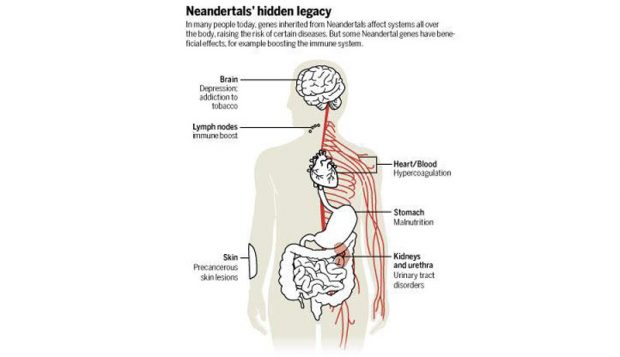 عامل بیماری اسکیزوفرنی و سل پوستی توسط محققان مشخص شد ؟ 2 بیماری اسکیزوفرنی