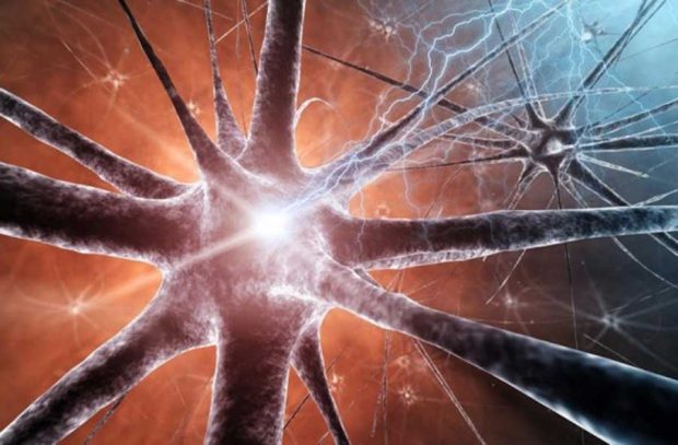 کوچکترین چکش جهان