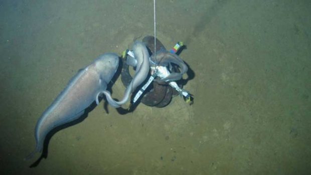 اتفاقات خارق العاده و دور از ذهن که تنها یک بار در جهان رخ داده اند 7 اتفاقات خارق العاده