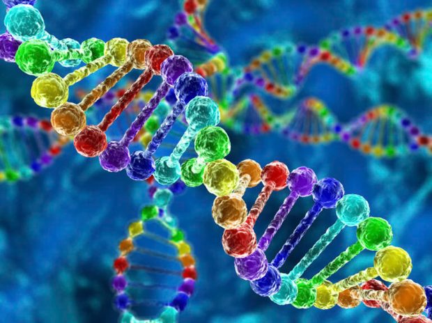 ذخیره اطلاعات بر روی DNA انسان